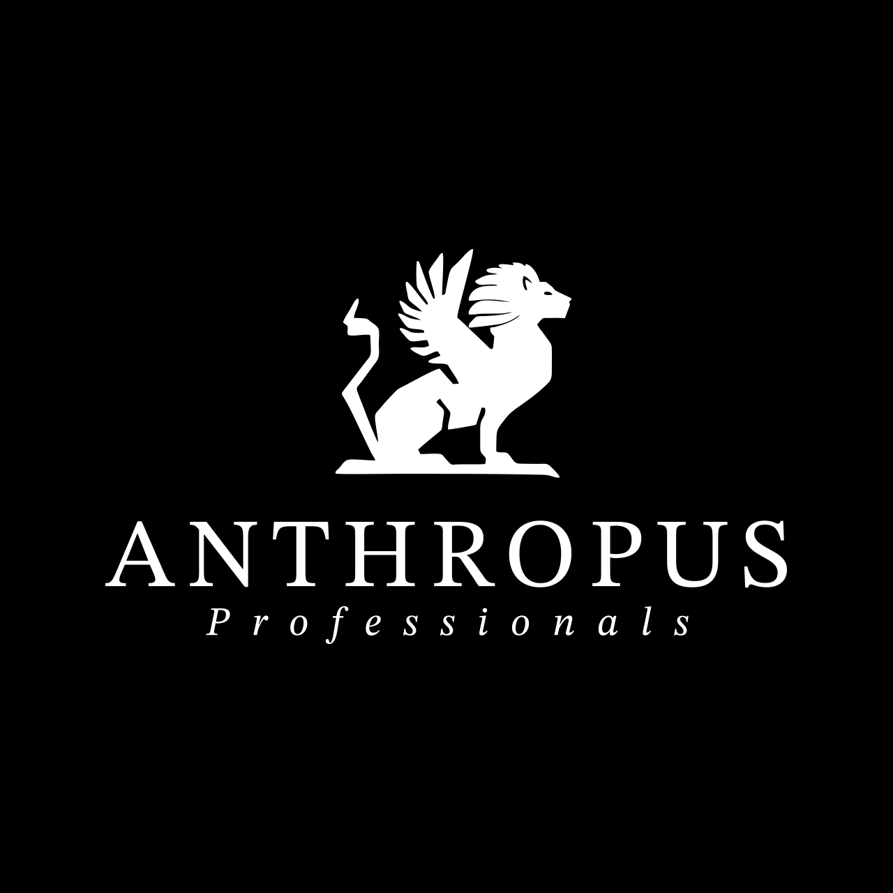Anthropus Professionals - Projekten, Qualitätsmanagement, Lieferantenentwicklung, Prozessoptimierung, Lean- und Beschaffungsmanagement